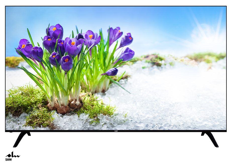 تلویزیون 100 اینچ کیو ال ای دی سام مدل 100Q80D